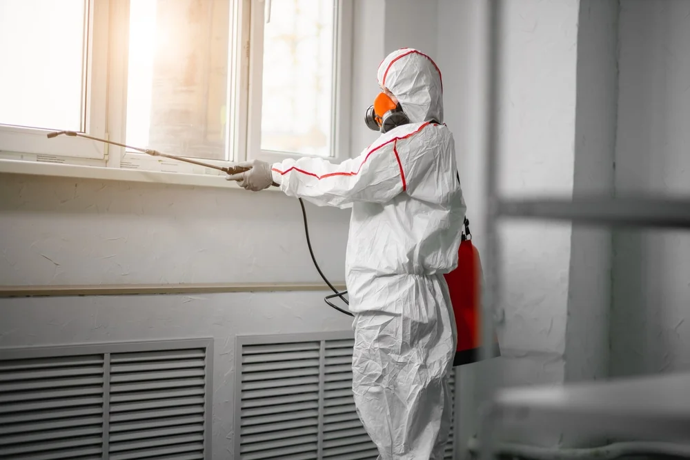 Professional mold remediation services in Felda, FL
